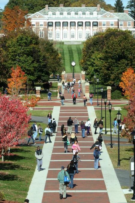 Stonehill Professors Ranked Among the Best