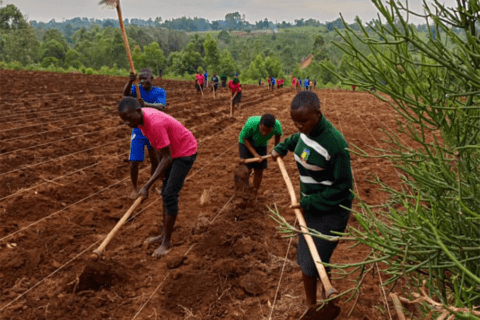 St. Joseph's Hill Tree Planting Project Grows Deeper Roots ...